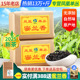 健韵阁 浓香春茶凤凰单枞茶蜜兰香凤凰单丛茶 潮州单从茶500g纸包
