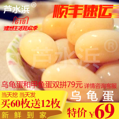 2020烏龜蛋中華龜蛋草龜巴西寶媽輔食送禮佳品自産自銷生態營泡酒在類目 水產肉類/新鮮蔬果/熟食, 蛋/蛋製品, 鮮活蛋類, 其它中 - 來自Buy2taobao.com提供專業的淘寶代購服務