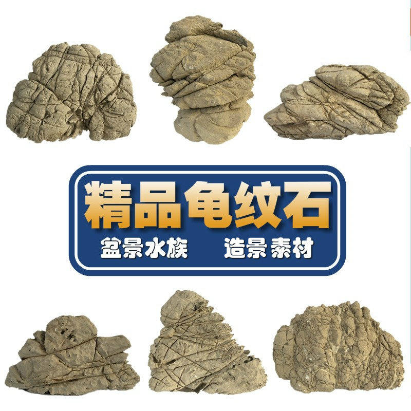 包邮精品龟纹石天然原石盆景石 上水石灵璧石 水族草缸造景石假山