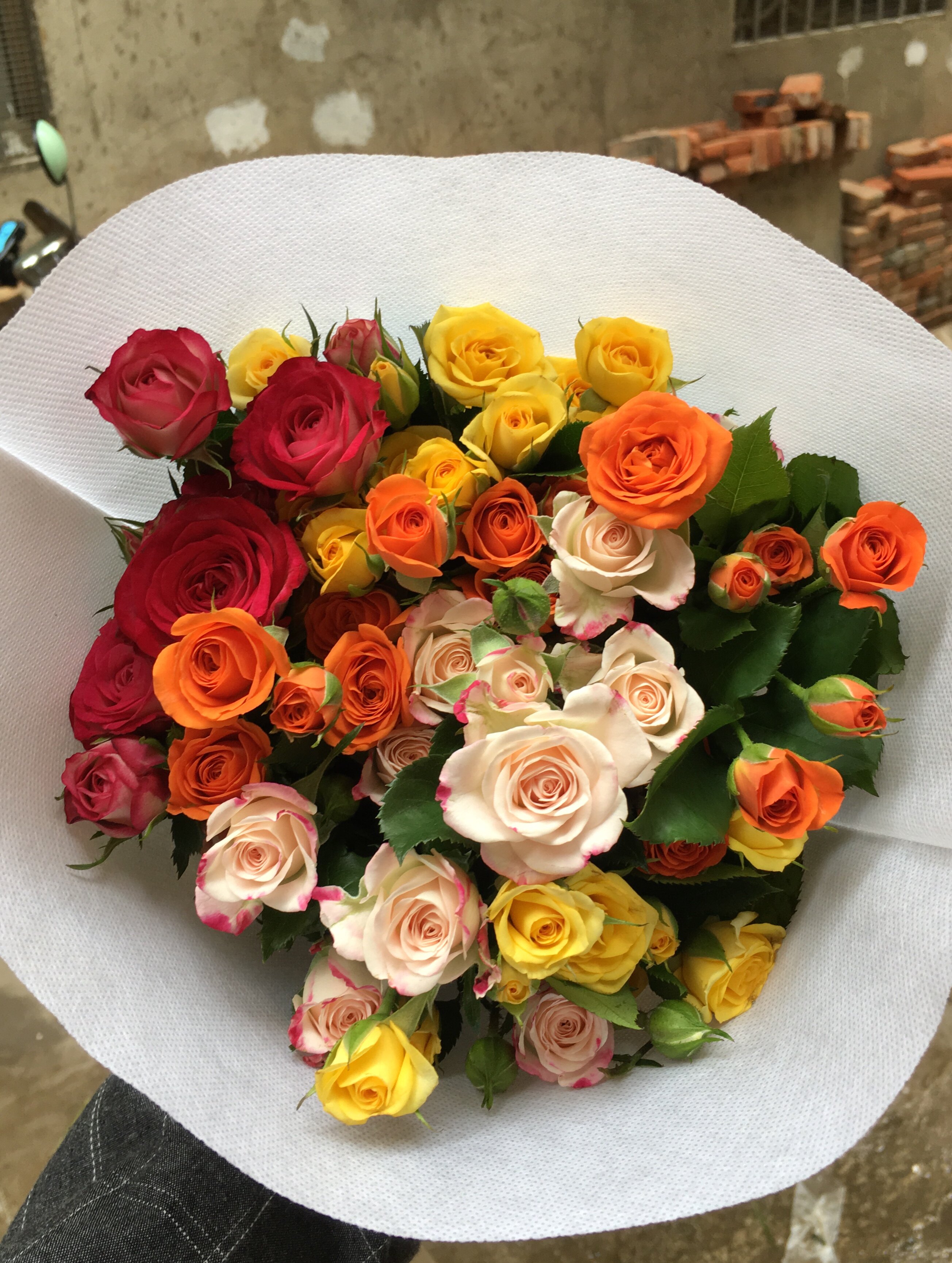 玫瑰各色拼色小玫瑰新鲜鲜花多头混色玫瑰彩玫瑰云南昆明基地空运