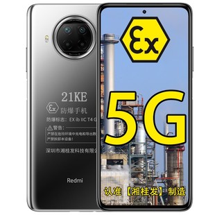 小米红米Redmi Note 9 Pro 5G全网通 1亿像素 防爆智能手机 化工厂矿用本安型防爆 防爆定制版带证书+支持NFC