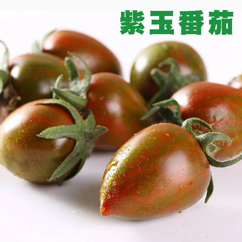 搜索"小番茄种子"的优惠券结果页-搜券网