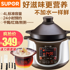 SUPOR/苏泊尔 TG40YC1-60中华炽陶电炖锅盅紫砂炖肉煲汤煮粥正品