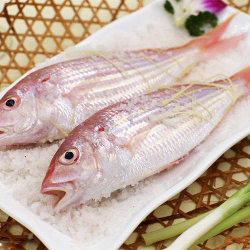 广西北海特产 红杉鱼 金线鱼 金丝鱼 新鲜野生海鱼 红三鱼 500g