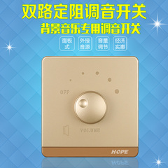 HOPE向往双路定阻调音开关背景音乐音量控制喇叭调节面板50W