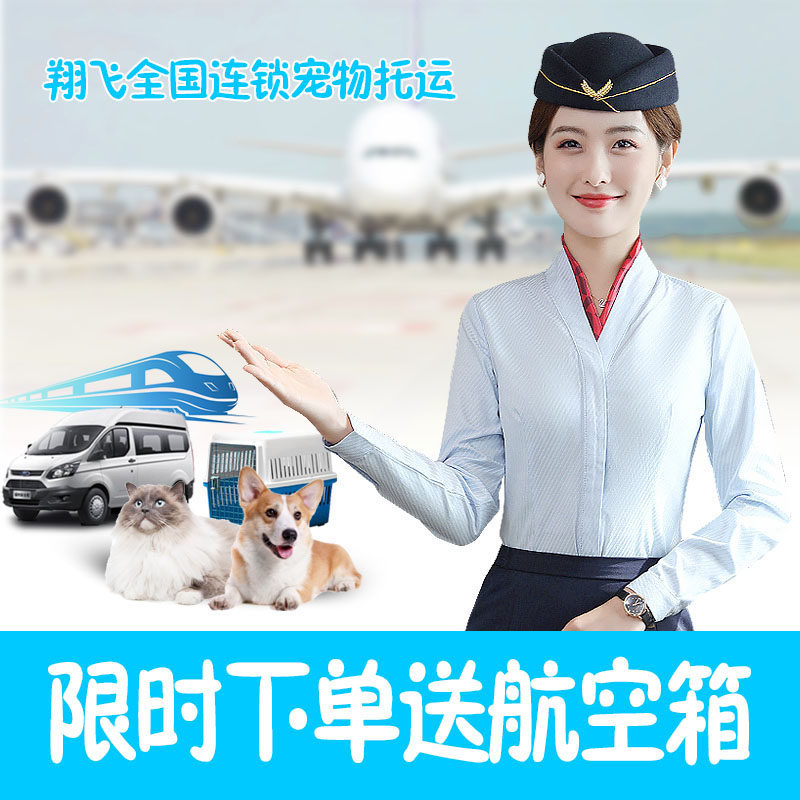 宠物托运服务全国翔飞宠物快递邮寄猫狗托运空运火车汽车运输兔子