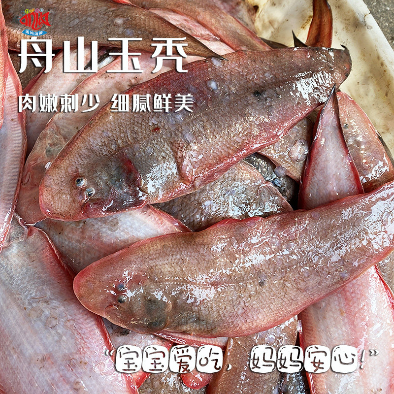 【闹妈海鲜】舟山 新鲜大舌鳎/玉秃鱼 一斤2-3条左右 活动价