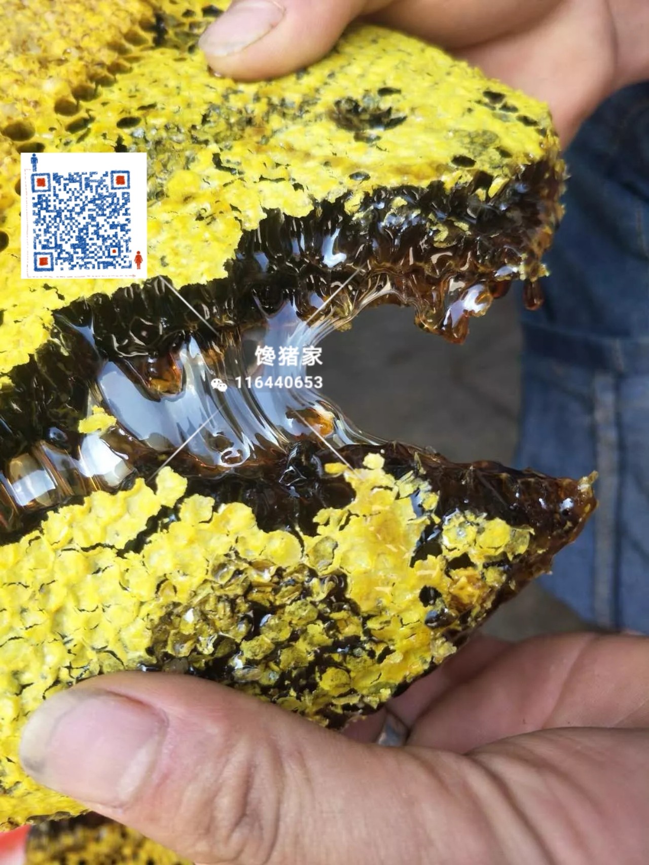 馋猪家棉花糖蜜黑蜜西双版纳野生蜂蜜野生蜂蜜包邮