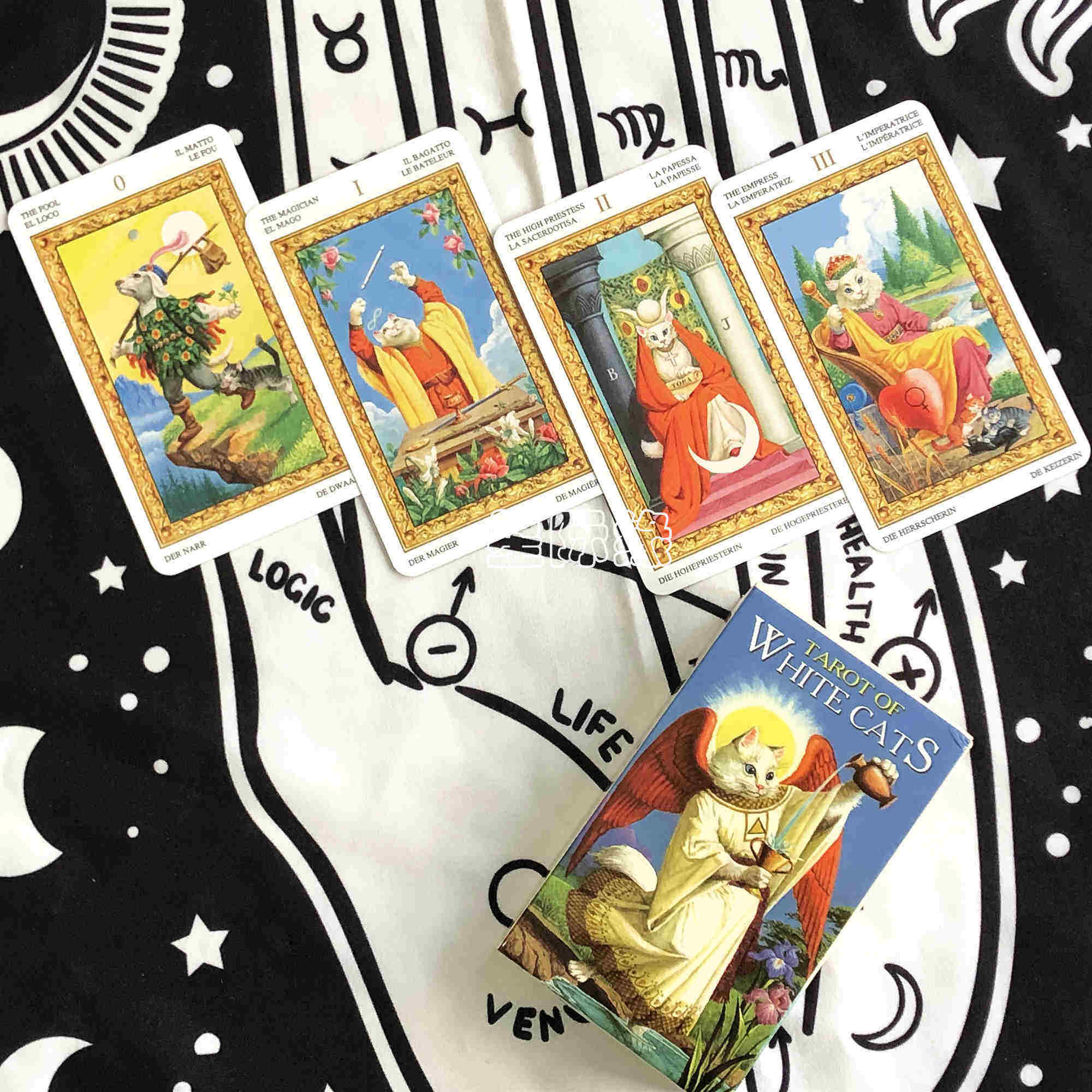 包邮tarotwhitecats白猫塔罗英文可爱猫咪卡送牌袋桌游卡牌