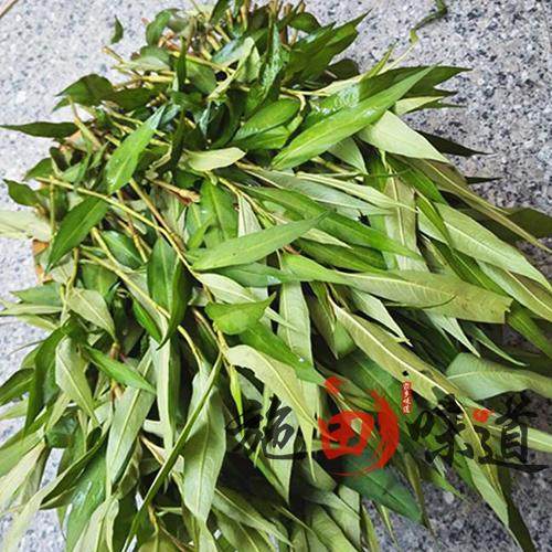 云南香柳菜叶新鲜野生叻沙叶鱼生草拉沙叶傣族佐料调味香菜500克