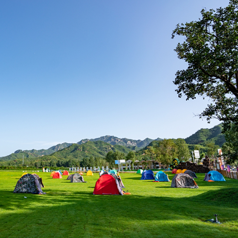 【电子票】石家庄灵寿漫山花溪谷树桥公园门票电子票