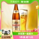 日本KIRIN/麒麟一番榨啤酒600ml*12瓶清爽麦芽大瓶啤酒瓶装整箱