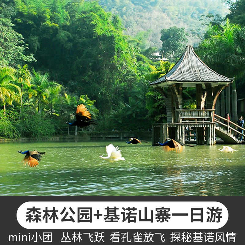 云南旅游西双版纳 原始森林公园基诺山寨纯玩一日游2-6人精品小团|msdalam kategori talian Holiday/Visa menghantar off/Travel Services, latihan percuma/Perjalanan dengan kumpulan, perjalanan domestik dengan kumpulan - dari Buy2taobao.com untuk memberikan perkhidmatan ejen Taobao profesional membeli