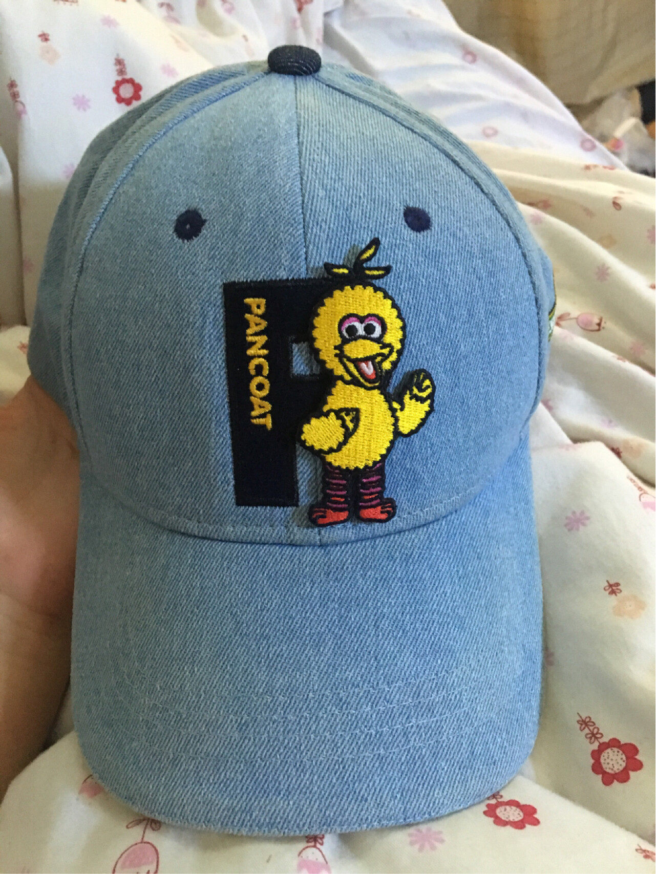 【pancoat帽子】_二手_转让_回收 – 闲鱼