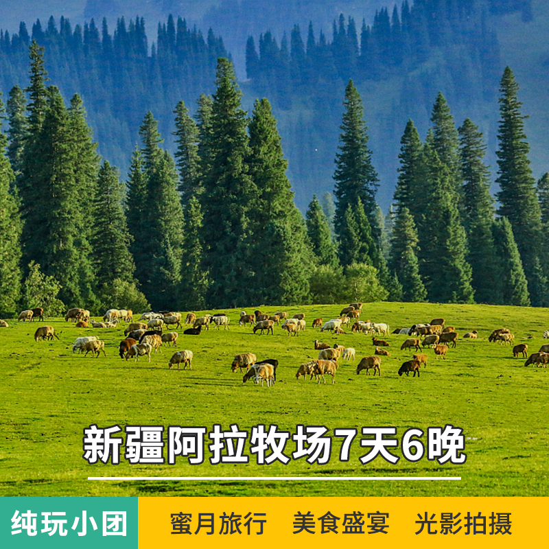 新疆旅游阿拉牧场7天6晚纯玩跟团游库尔德宁赛里木湖大莫合伊宁