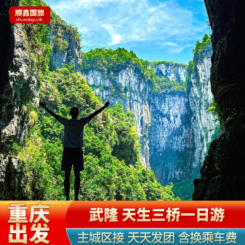 重庆旅游武隆天生三桥仙女山龙水峡地缝一日跟团游包含门票车费餐