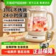 小熊养生壶家用多功能办公室小型煮茶器2025新款烧水壶煮茶壶官方