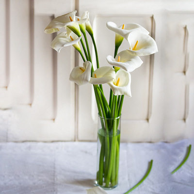 热销马蹄莲粉_白色黄色橙色粉色马蹄莲鲜花海芋花云南基地直发家居真