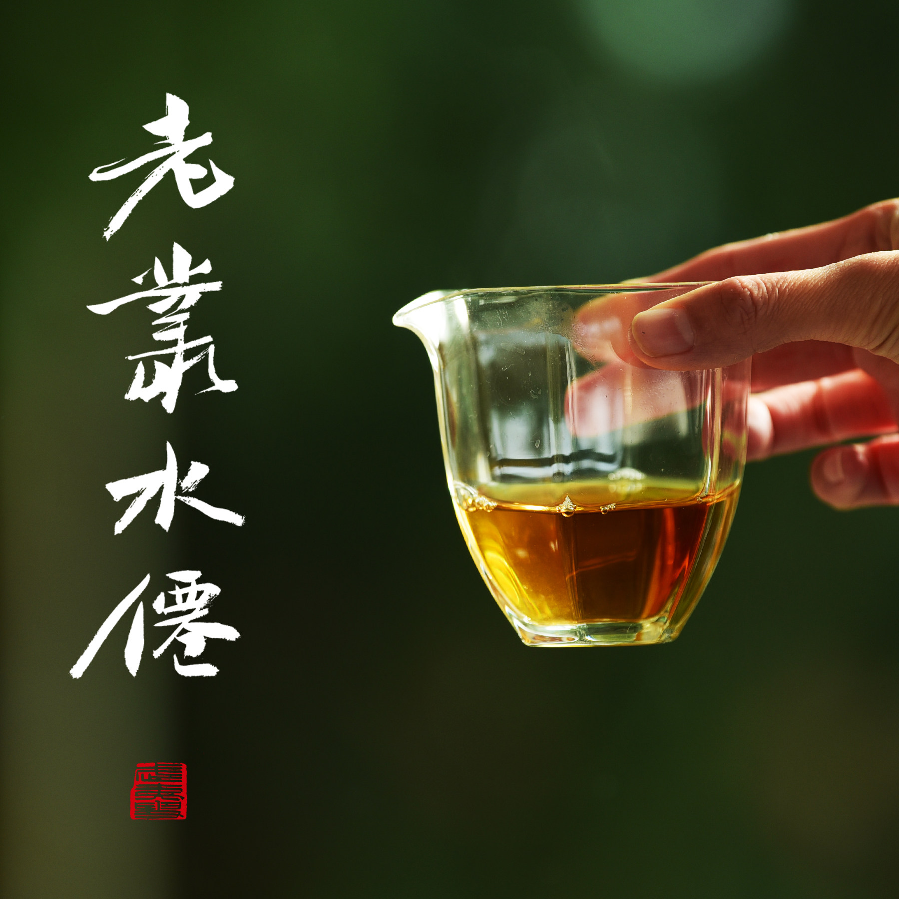 老枞水仙 自然农法 武夷岩茶 木质味 武焙茗茶 72克