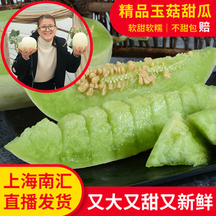 爆甜上海南汇玉菇甜瓜10/5斤新鲜水果当季青皮绿肉香瓜冰淇淋蜜瓜