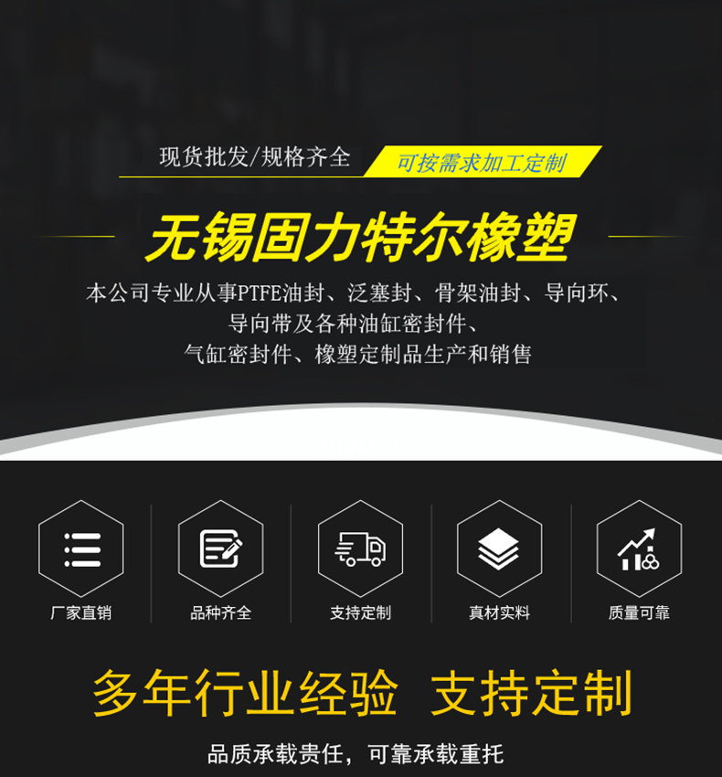 固力特尔ltuliie非标定制定做密封件泛塞封导向环垫片等无锡厂家