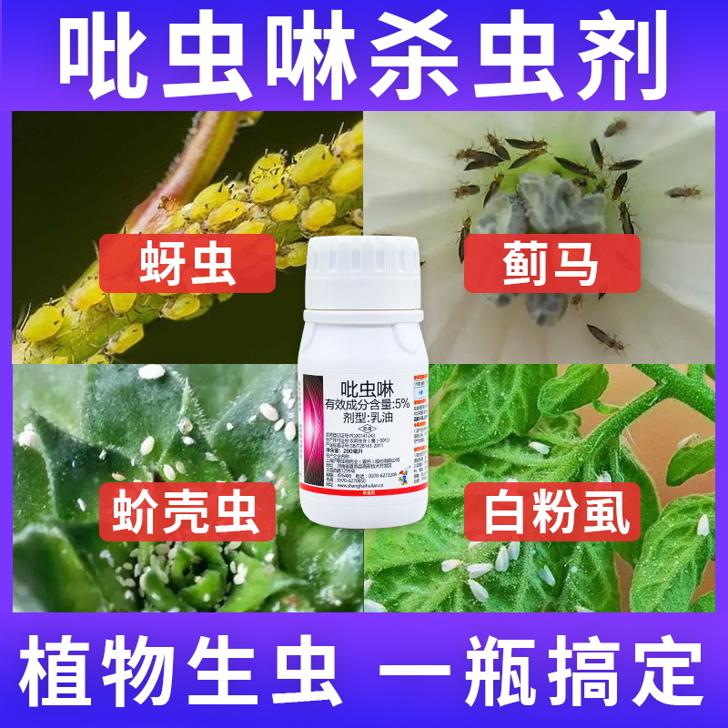 黄皮树用什么农药图片