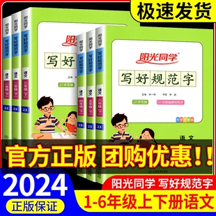 阳光同学写好规范字一二年级三年级四五六年级下册上册语文人教版小学生专用认字识字同步练字帖每日一练铅笔字书法字帖暑假写字