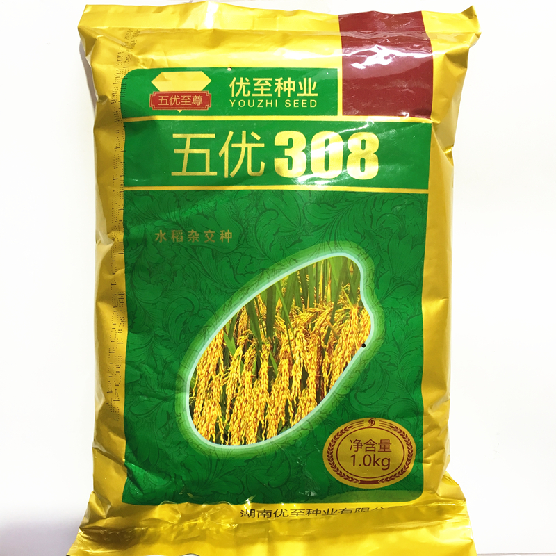 水稻种子五优308籼型三系杂交水稻晚稻一季稻谷种禾种