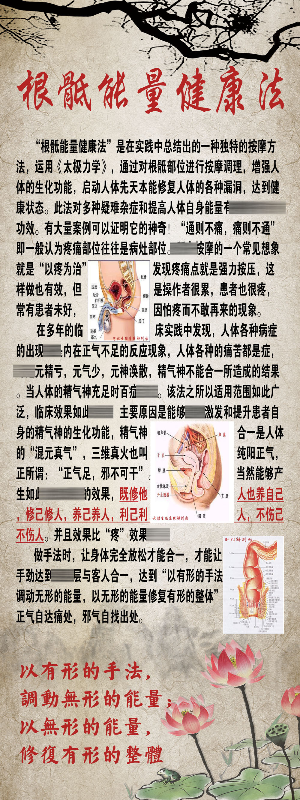 根骶能量健康疗法中医养生海报挂图美容保健养生馆装饰宣传画599