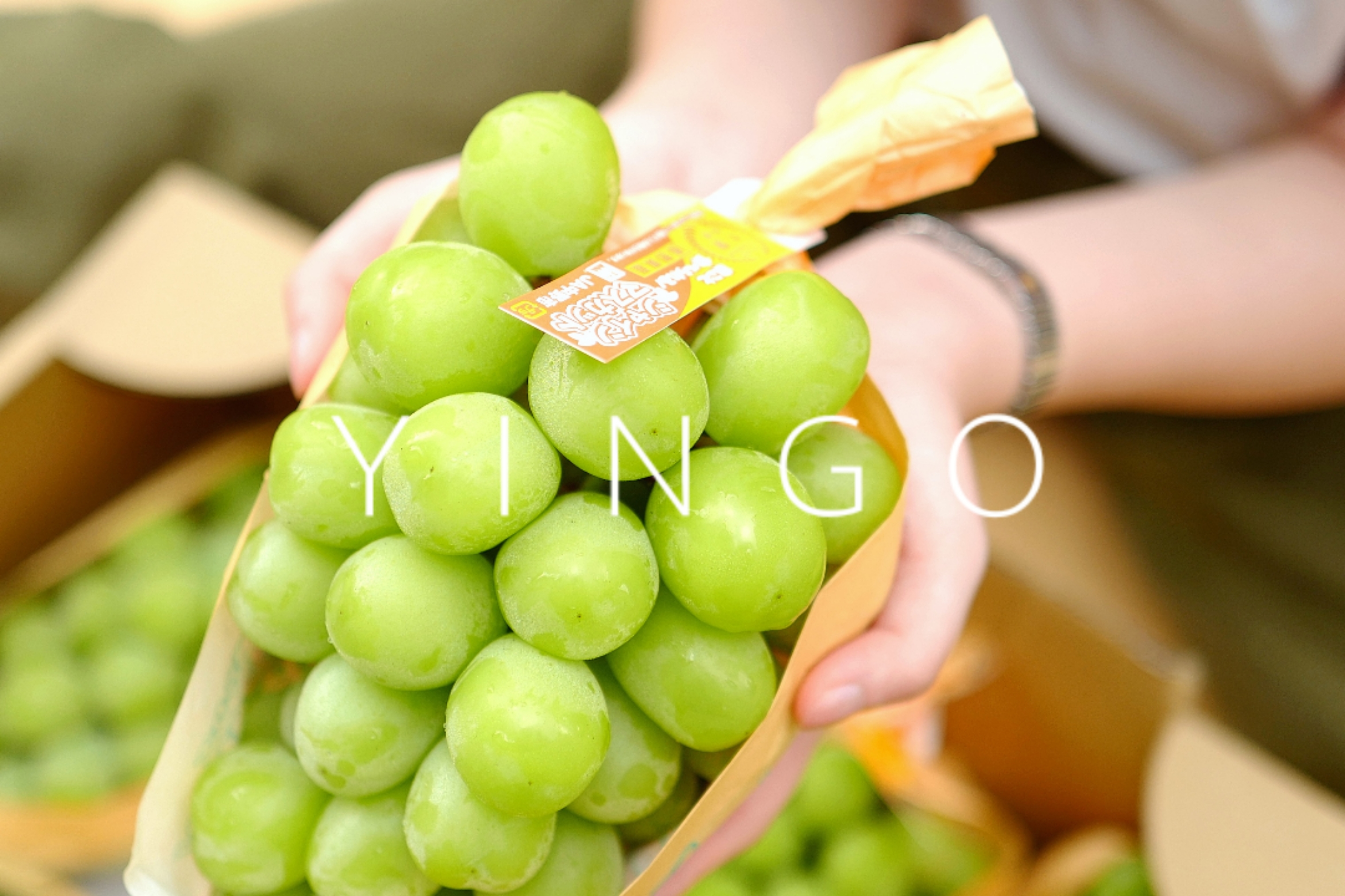 阳光玫瑰香印青提葡萄