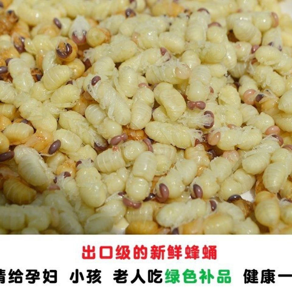 93马蜂蛹马蜂蛹自产雄蜂蛹既食蜂场油炸350只/每份