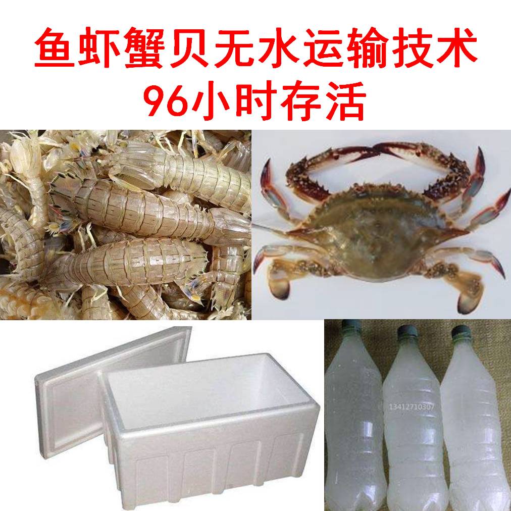 活鲜水产活鱼皮皮虾螃蟹航空快递干法无水运输技术保活剂保活用品