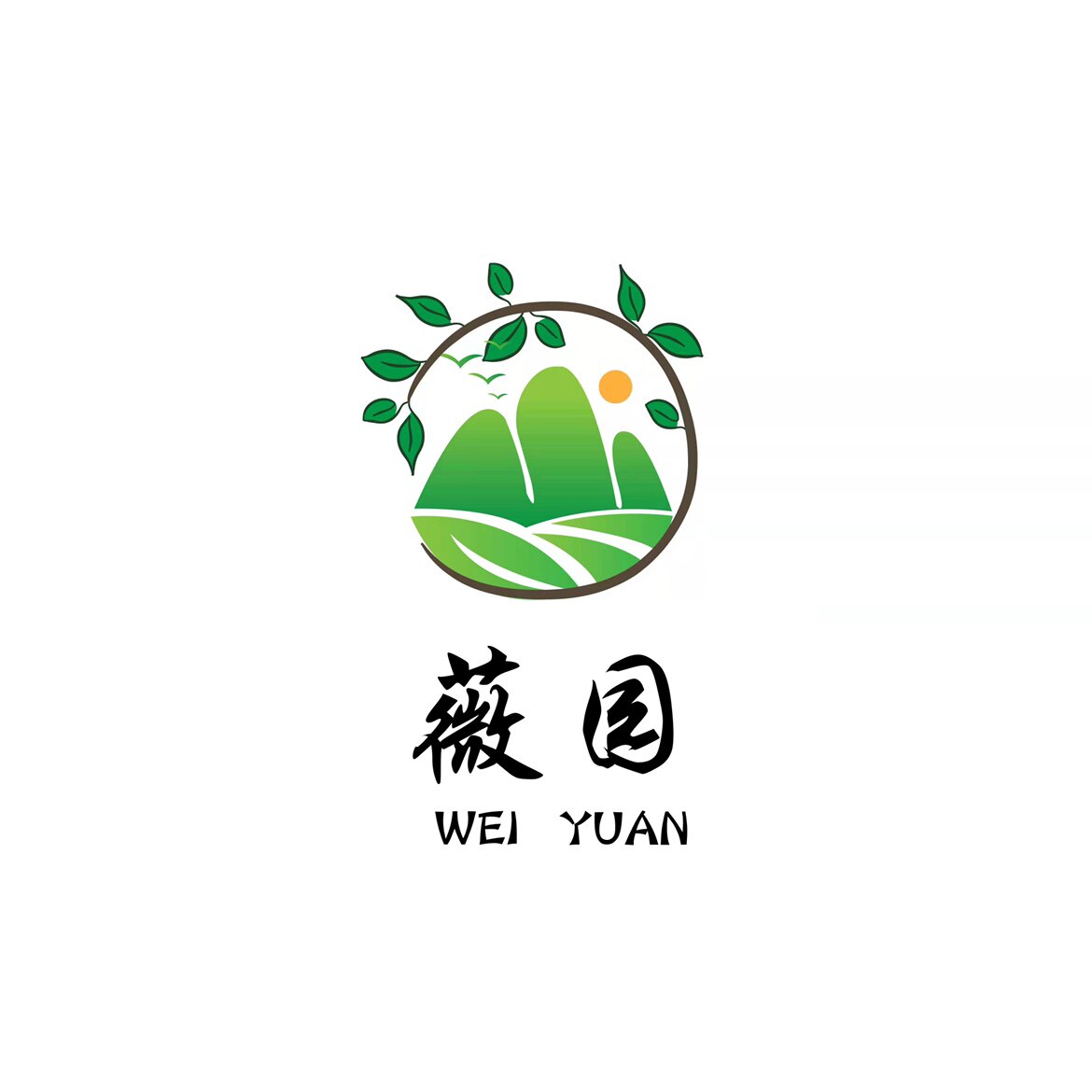 薇园  直播专拍 盆景植物小树配植山水盆景绿植