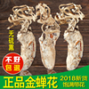 2018年新货金蝉花 知了花大别山竹林金蝉花 蝉花大虫草1000克包邮 2018年新货金蝉花 知了花大别山竹林金蝉花 蝉花大虫草1000克包邮