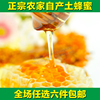 2018年新货河源农家河源蜂蜜500克 自产自销 农村春蜜土蜂蜜糖 2018年新货河源农家河源蜂蜜500克 自产自销 农村春蜜土蜂蜜糖