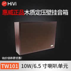 Hivi/惠威 TW101公共广播壁挂音箱 专业壁挂会议喇叭校园广播