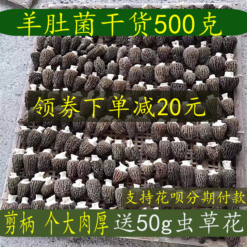 羊肚菌干货野生菌煲汤材料云南特产新鲜牛肚菌食用菌菇500g包邮在类目 粮油米面/南北干货/调味品, 南北干货/肉类干货, 干货/土特产, 香菇类中 - 来自Buy2taobao.com提供专业的淘宝代购服务