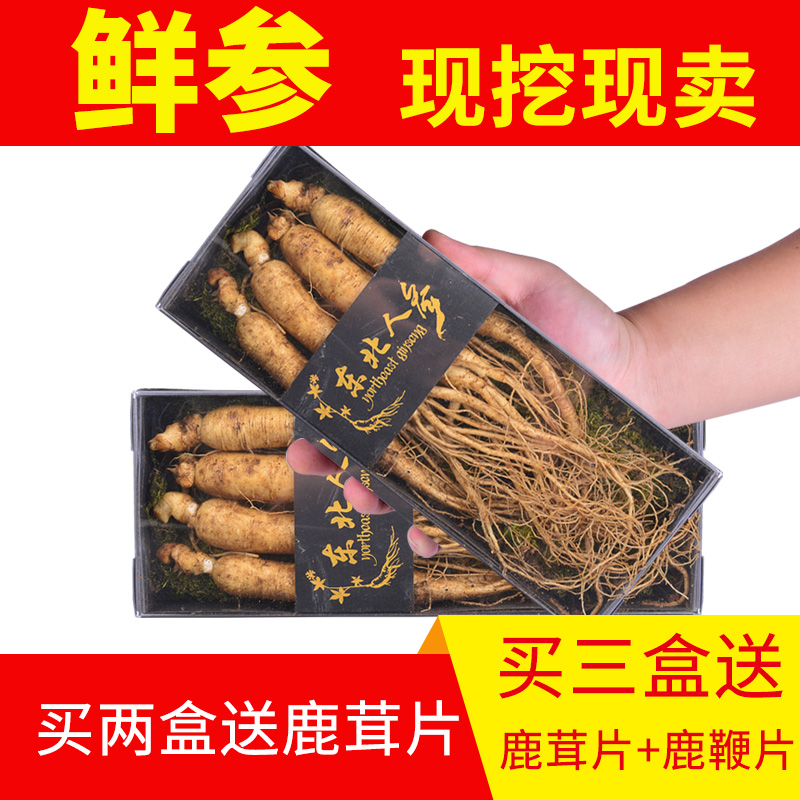 人参新鲜长白山参礼盒泡酒煲汤集安边条参整支带土野山参东北鲜参|msdalam kategori makanan berkhasiat tradisional, ginseng tonik, ginseng/ginseng - dari Buy2taobao.com untuk memberikan perkhidmatan ejen Taobao profesional membeli