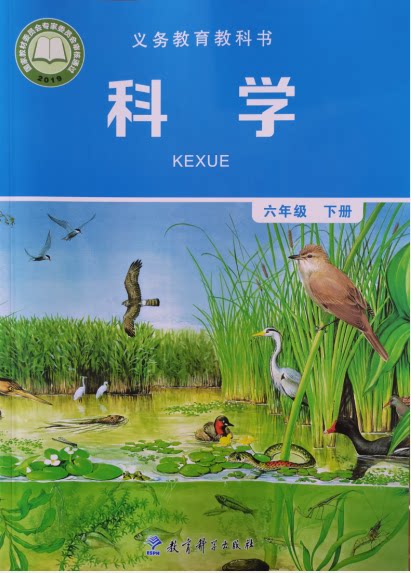 正版代购2022年新版义务教育教科书 科学六年级下册j版教科版 学生