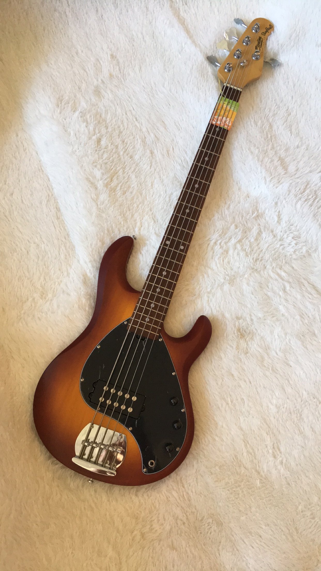 sterling by musicman美国品牌电贝斯入门级sub系列stingray5贝司