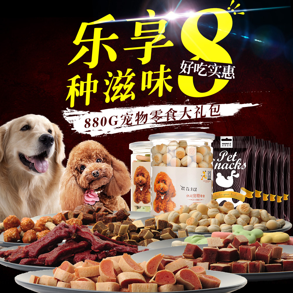 《另类宠物店创业方案》_另类宠物店一般进哪些宠物_另类宠物店创业方案