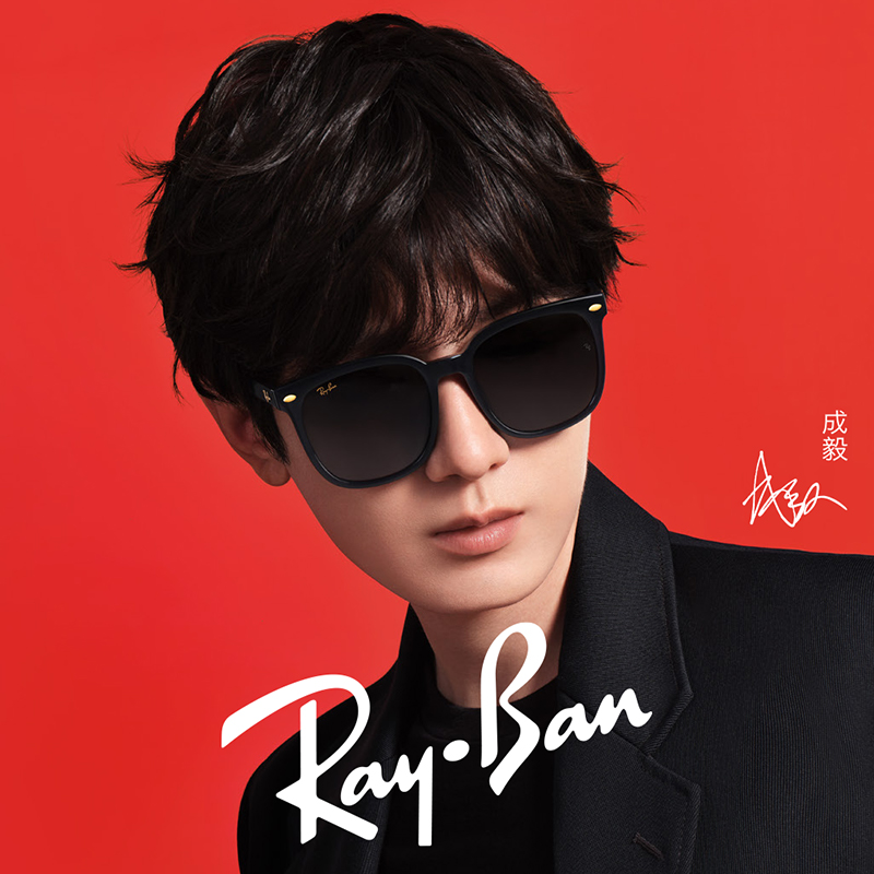 【龙年艺术家合作款成毅同款】RayBan雷朋太阳镜大框眼镜0RB4401D