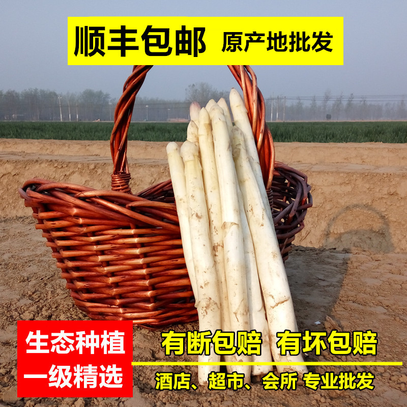 顺丰包邮新鲜白芦笋新鲜蔬菜生鲜火锅中西餐食材家用酒店专用精品在类目 水产肉类/新鲜蔬果/熟食, 新鲜蔬菜/蔬菜制品, 新鲜蔬菜, 芦笋中 - 来自Buy2taobao.com提供专业的淘宝代购服务