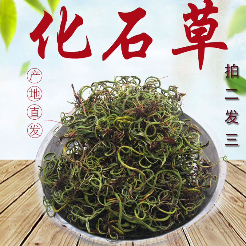 野生正品中草药肾精茶老挝野生化石草泡茶 结石中药材100克缅甸茶