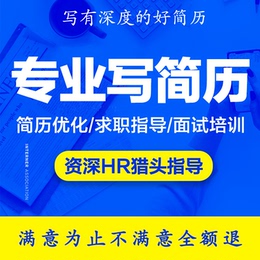 简历制作个人定制代做优化修改包装简历英文翻译制作润色设计