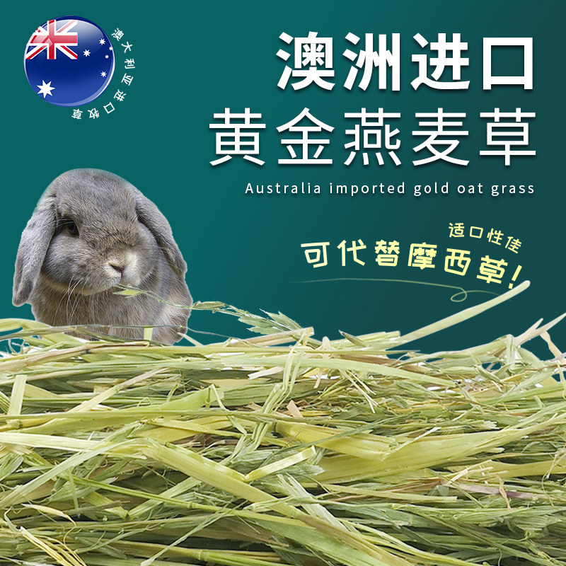 20年澳洲黄金燕麦草澳麦代替提摩西兔兔干草牧草高纤维500g