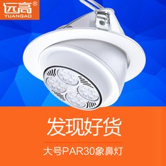 远高 LED象鼻灯运动服装店工程PAR30射灯35W40瓦 嵌入式天花灯6寸