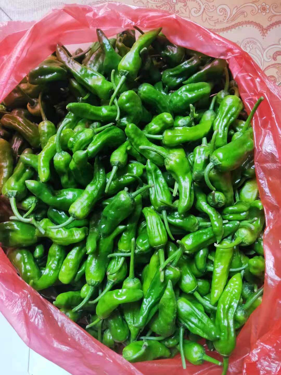 包邮自产自销正宗丰收辣椒3斤装江西余干枫收辣椒特产新鲜现摘