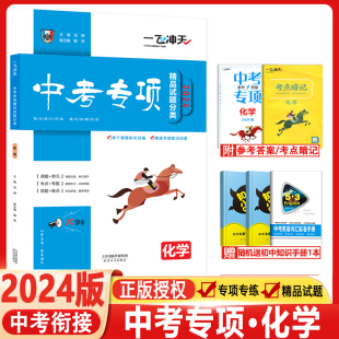 2024版天津一飞冲天中考专项精品试题分类化学初中总复习专题分项练习中考一轮复习