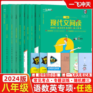 2024版一飞冲天八年级语文数学英语专项训练首字母填空听力突破完形填空阅读理解我爱默写现代文阅读课内外文言文名著导读天津专用